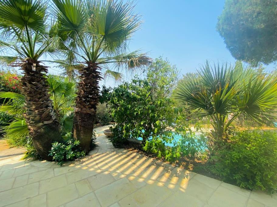 Atlantide - Somptueuse Villa Classee 4 Etoiles - Saint-Clair - Vue Exceptionnelle - Piscine 세테 외부 사진