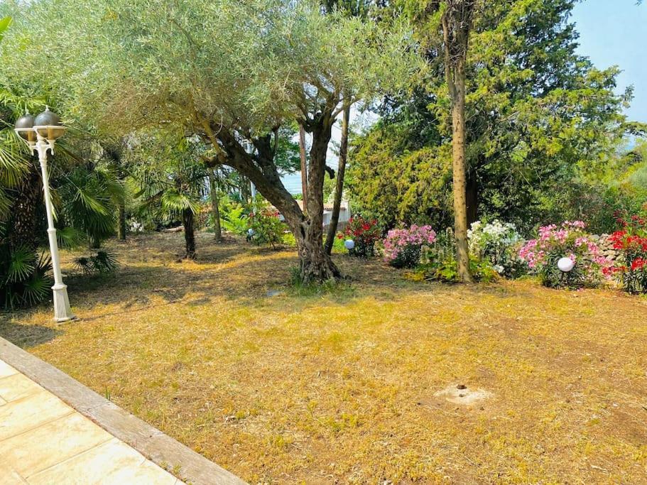 Atlantide - Somptueuse Villa Classee 4 Etoiles - Saint-Clair - Vue Exceptionnelle - Piscine 세테 외부 사진